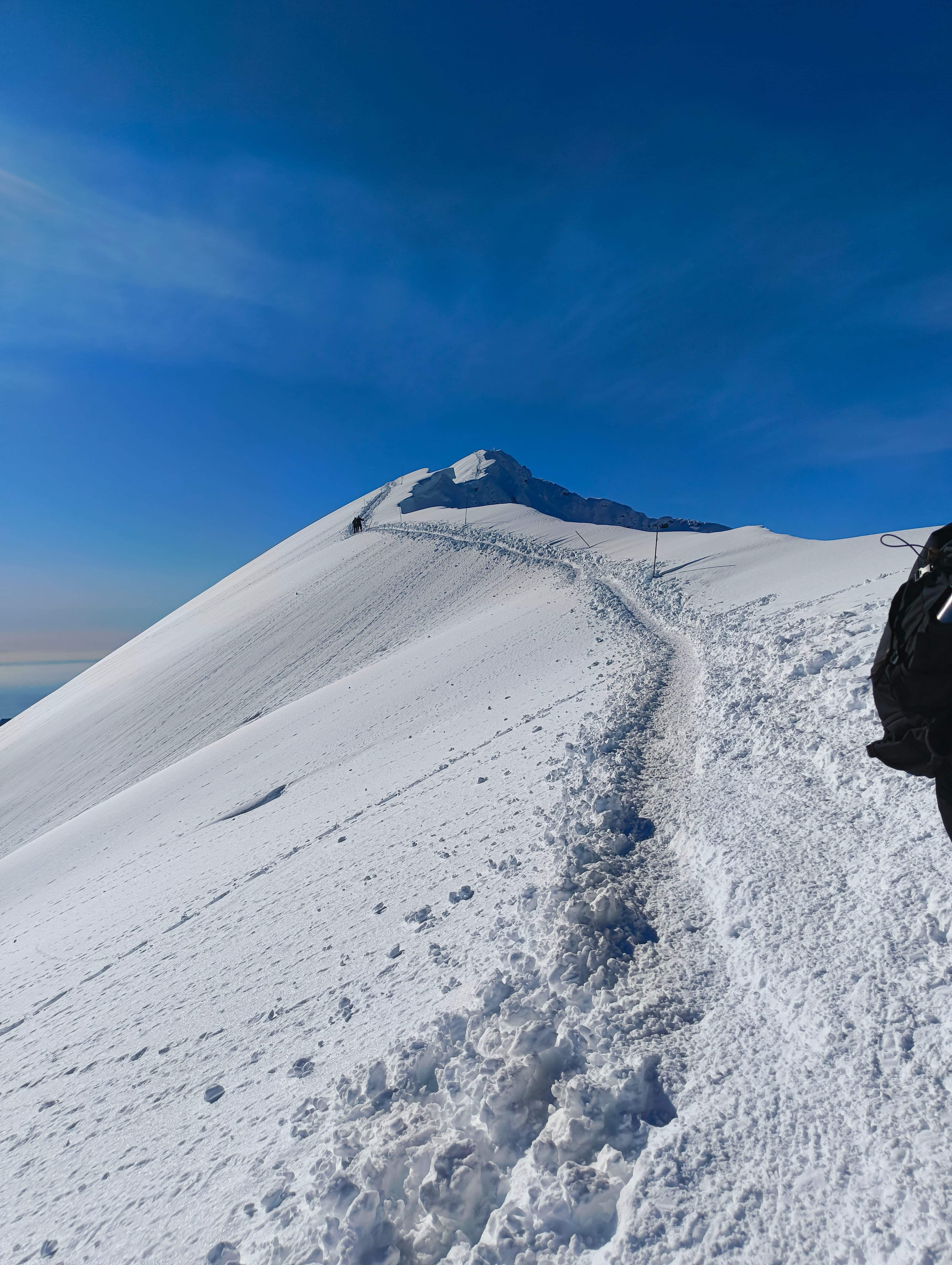 Foto n° 3 del trekking Grignone